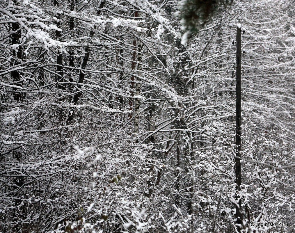 старый столб для проводки электричества на зимнем фоне - Олег Лукьянов