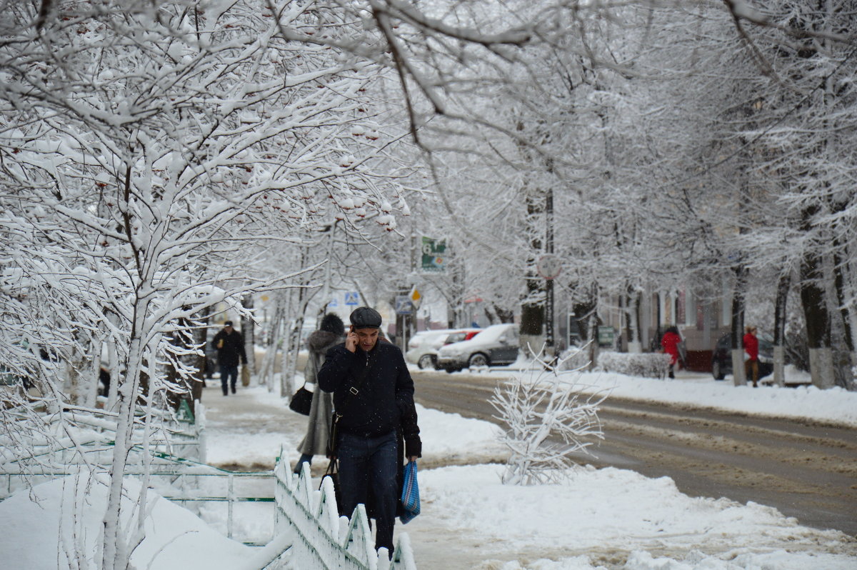 Снежный день - Инна Савинская