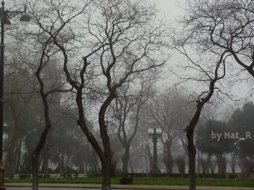 foggy winter in Baku - maxim 