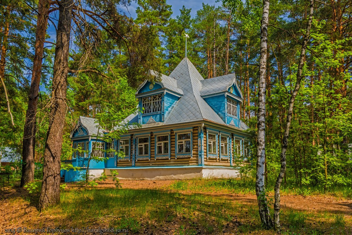 Сказочный домик - Валерий Горбунов