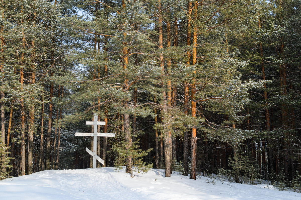 09.02.2015 14.14.21 - Юрий Волобуев