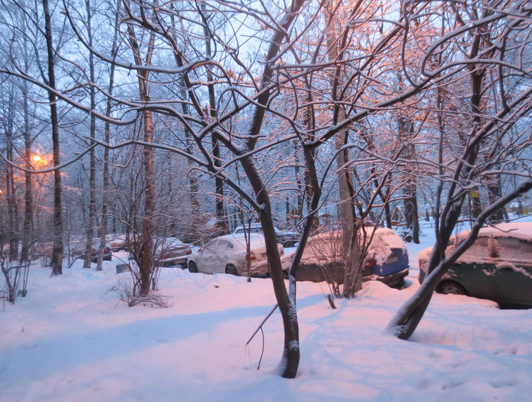 зима в городе - Елена 