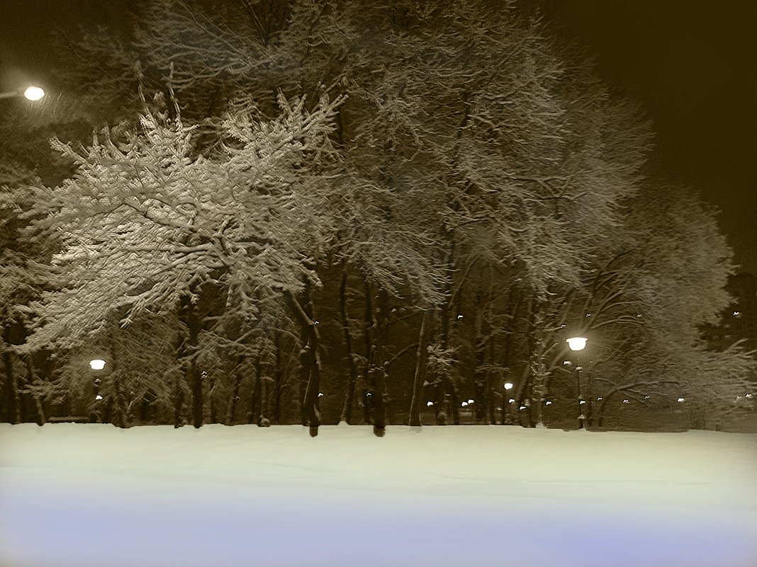 ночь в зимнем  парке - петькун  георгий 