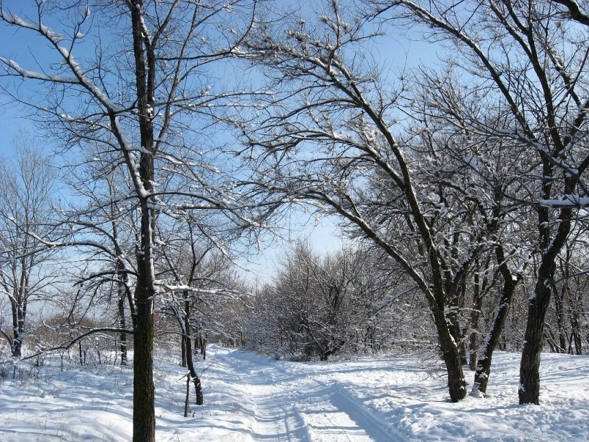 Дорога в зимний день - Natali 