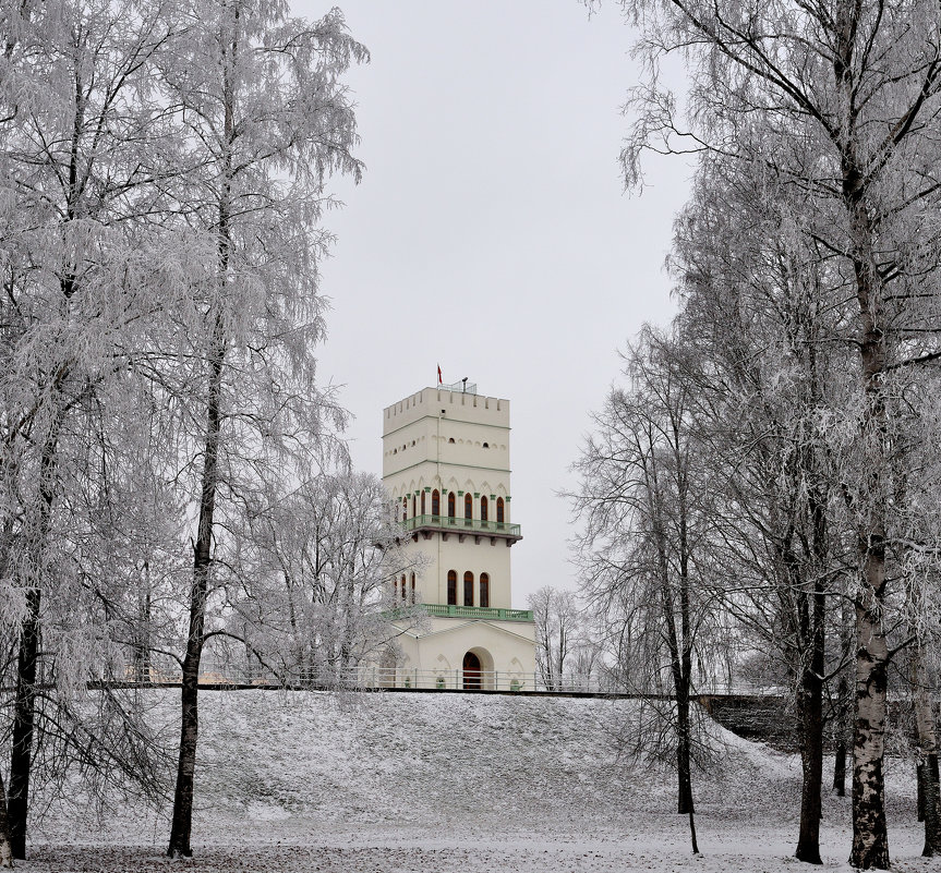 Белая башня Пушкин - Анатолий 