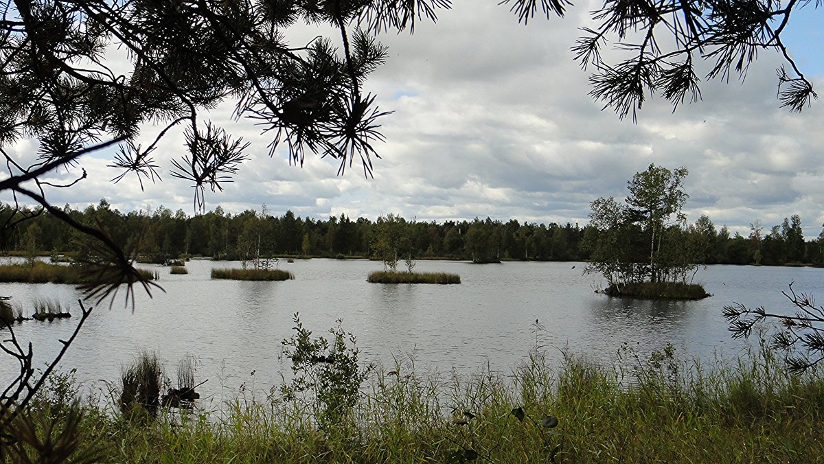 Озеро в  Лепсари - Елена Павлова (Смолова)