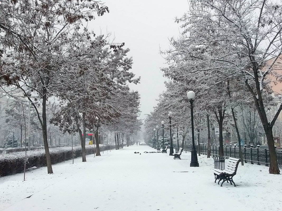 В нашем городе снег... - Наталья 