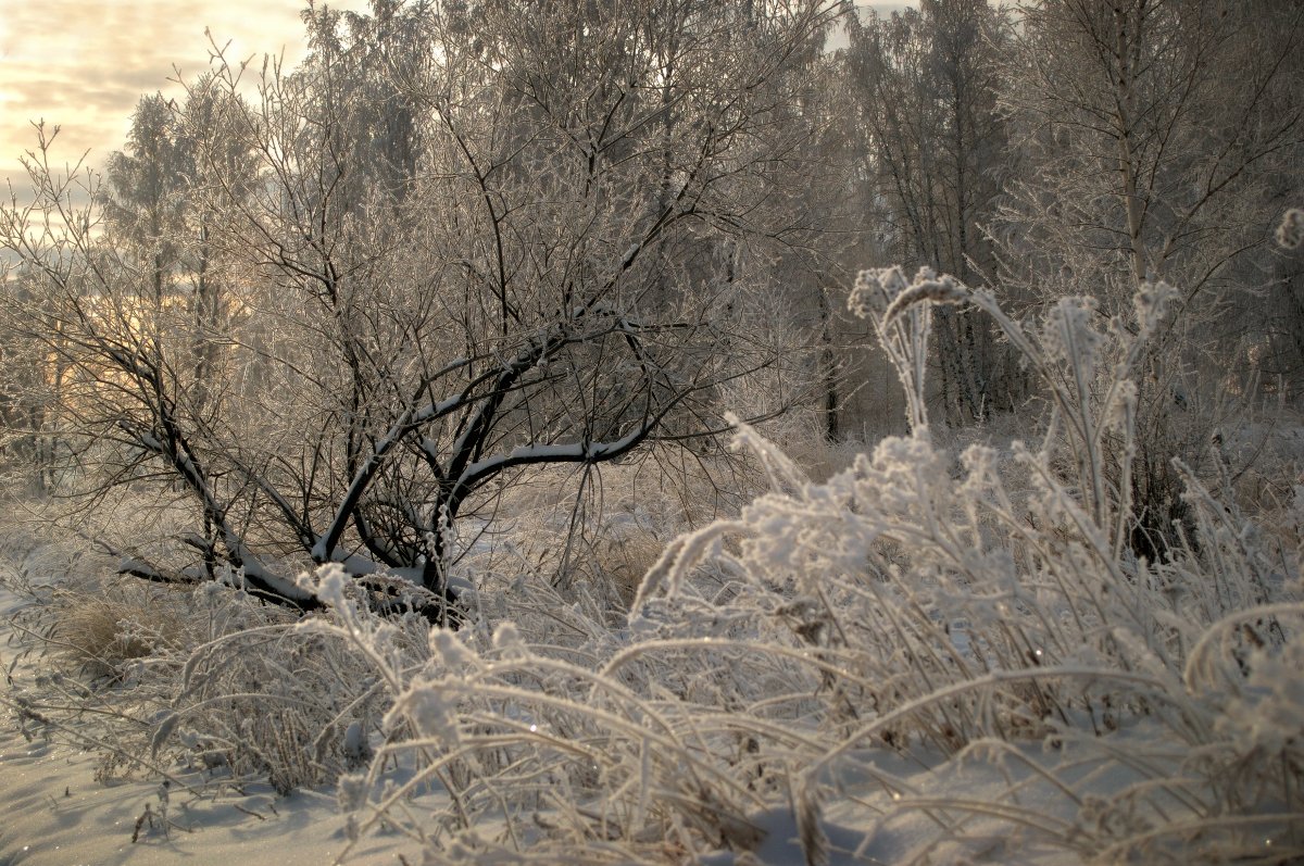 ... - Sozidatel Online "Евгений Щербаков"