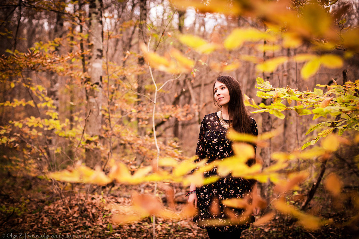 Осень - Olga Zemlyakova