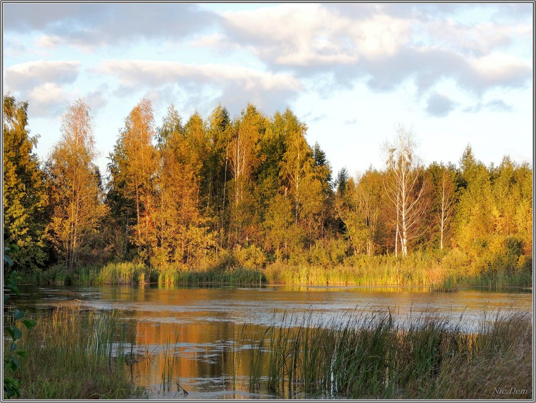 Поздняя пора - Николай Дементьев 