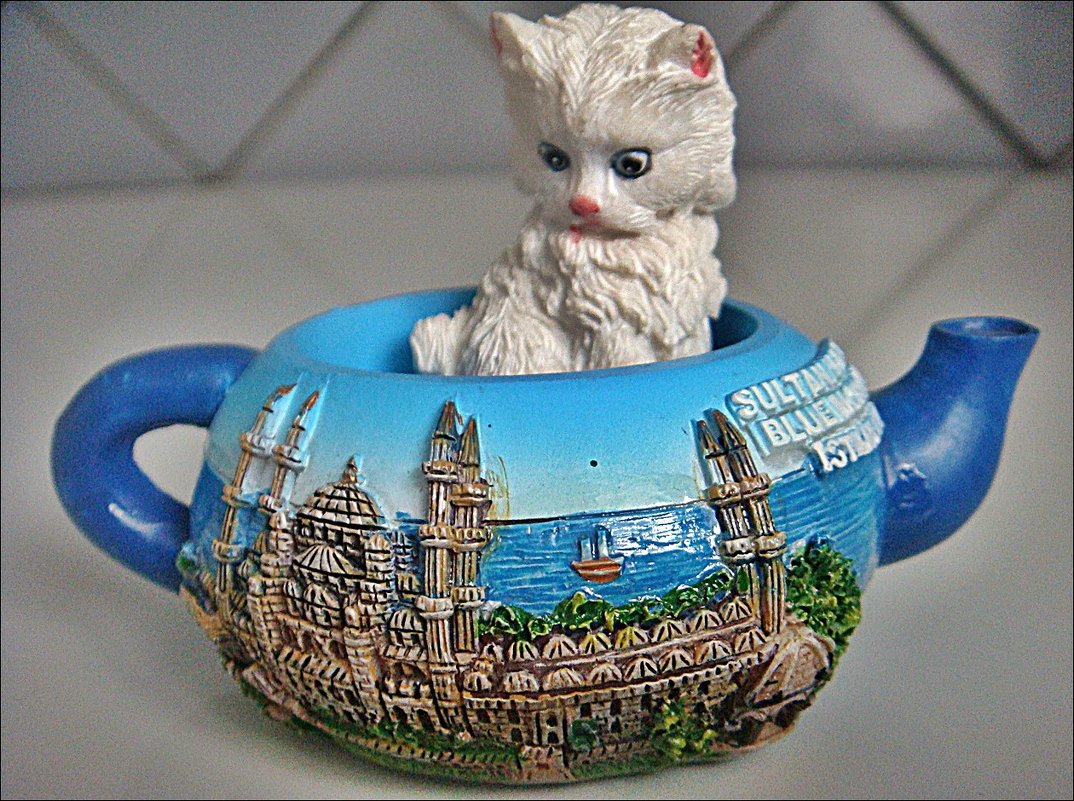 Котёнок в чайнике - Нина Корешкова