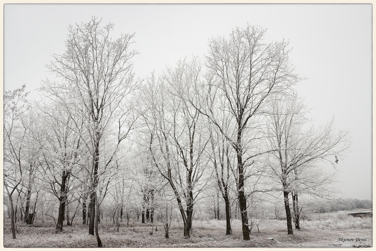 Холодный февраль - Denis Aksenov