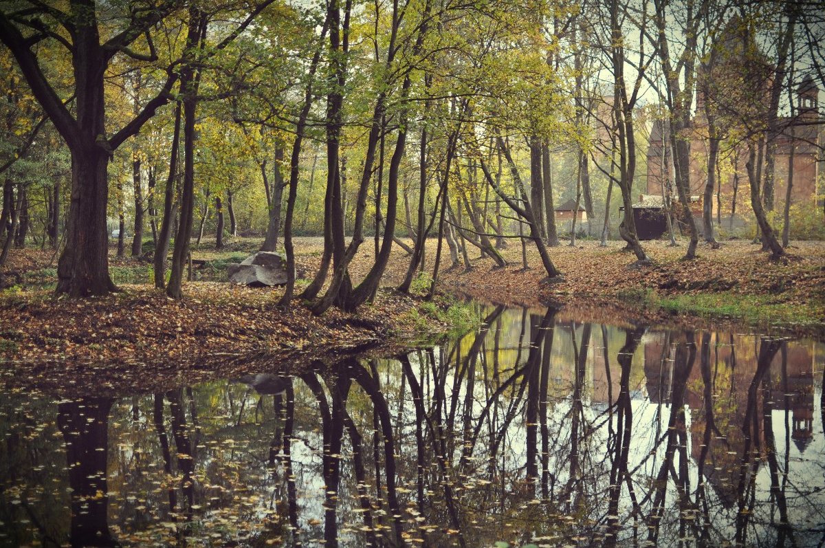 Осенний пейзаж - Катерина Попович