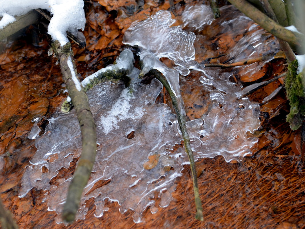 Причудливый лёд ржавого ручья - Игорь 