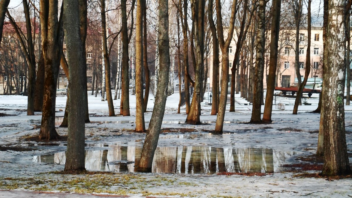 Завтра весна - Мария Т