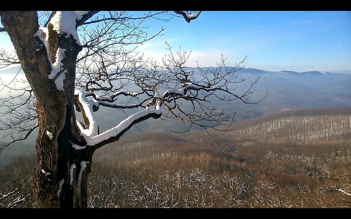 В горах Кавказа - Ольга Ламзина