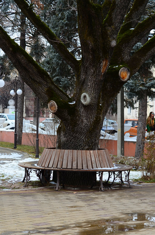 Дерево использовали рационально - Oleg Khot