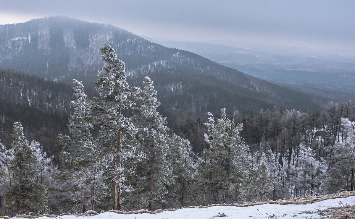 winter day in the mountains - Dmitry Ozersky