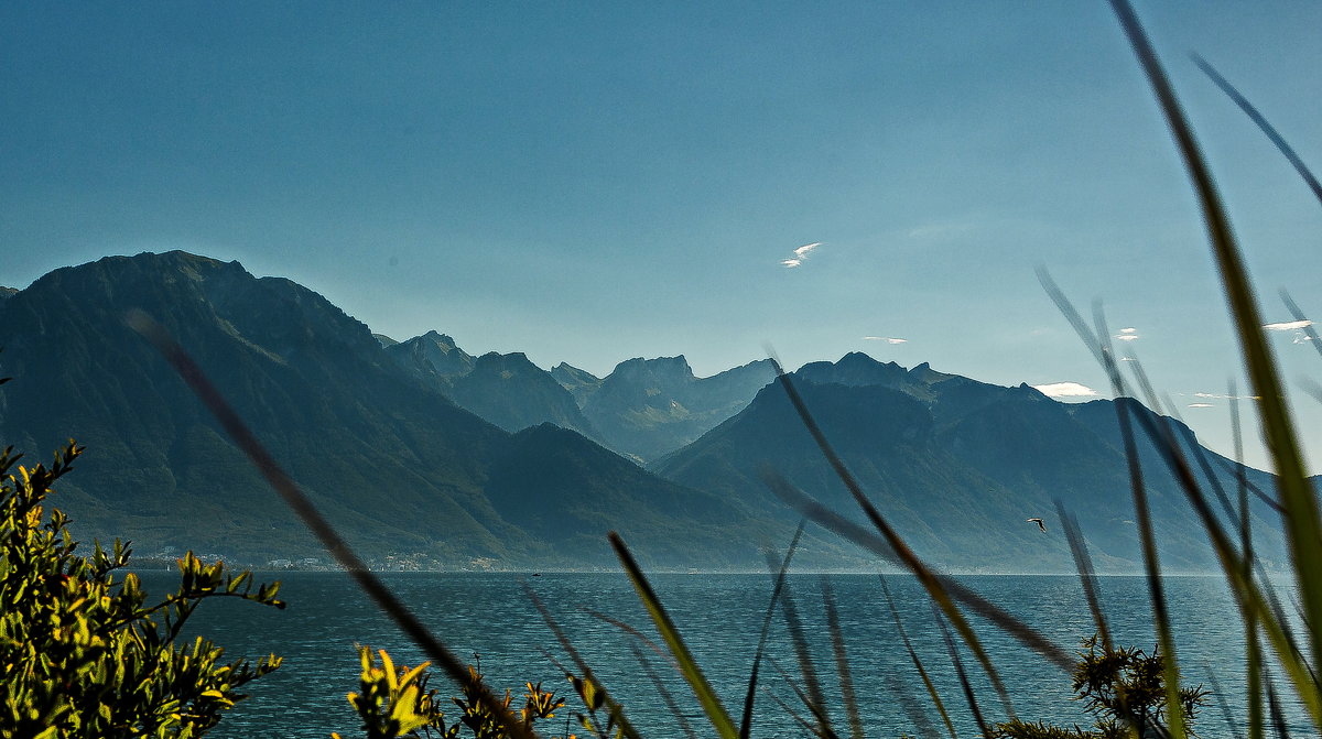 The Alps 2014 Switzerland Montreux 6 - Arturs Ancans