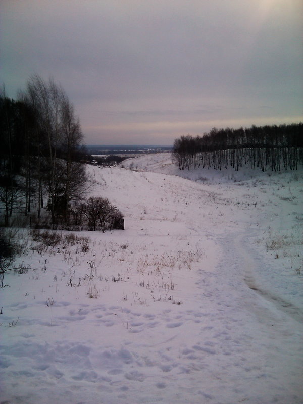 Зимнее поле - Tarka 