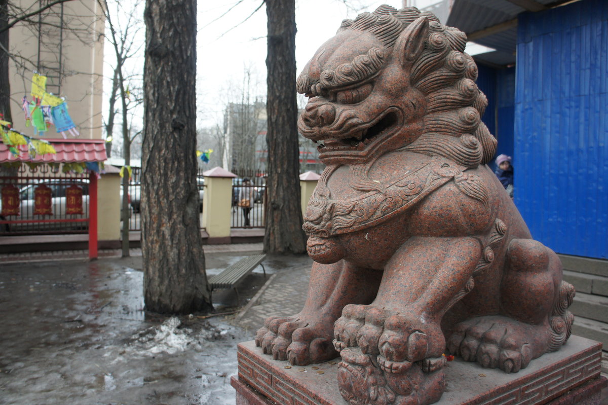 Вход в Петербургский дацан стерегут гранитные львы-охранники. Это львица - Елена Павлова (Смолова)