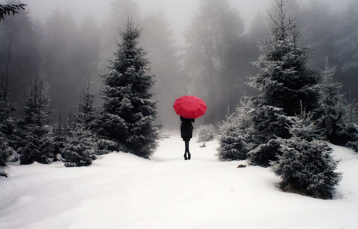 red umbrella - Yevgeniya Bush 