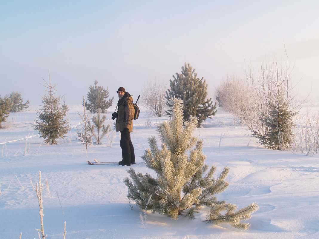 Прогулка морозным утром... - Michail Sinitsyn 