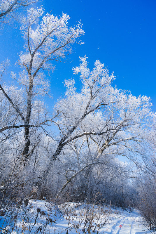 Последний день зимы - Андрей Липов
