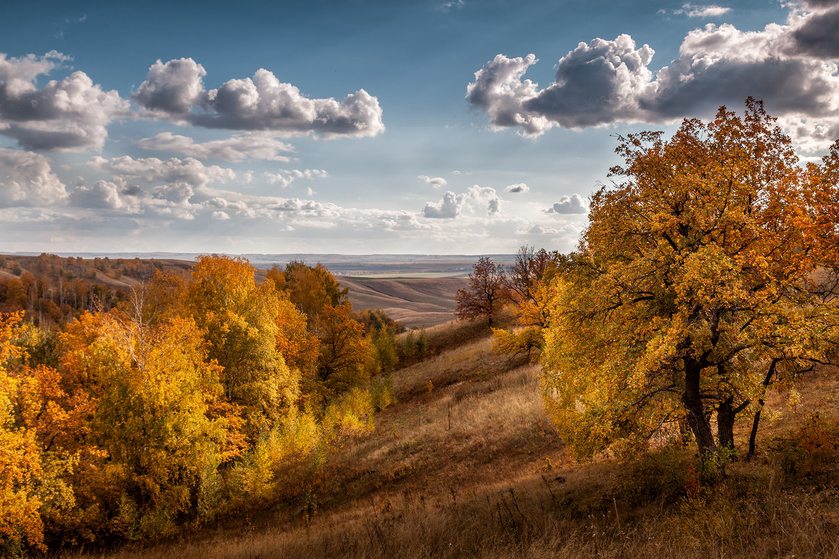 Пейзажи Татарстана осень