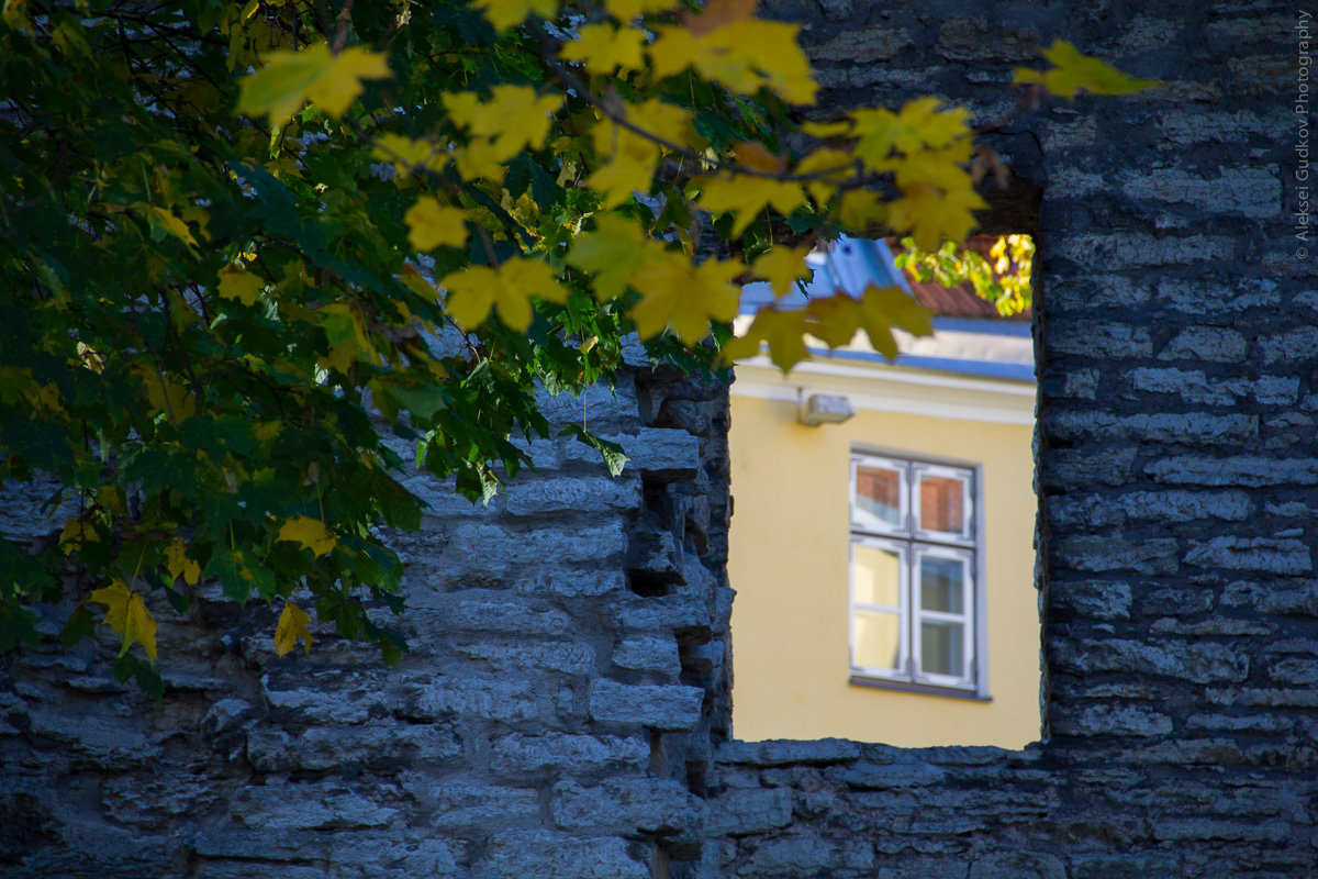 Windows.From past to future - Алексей Гудков