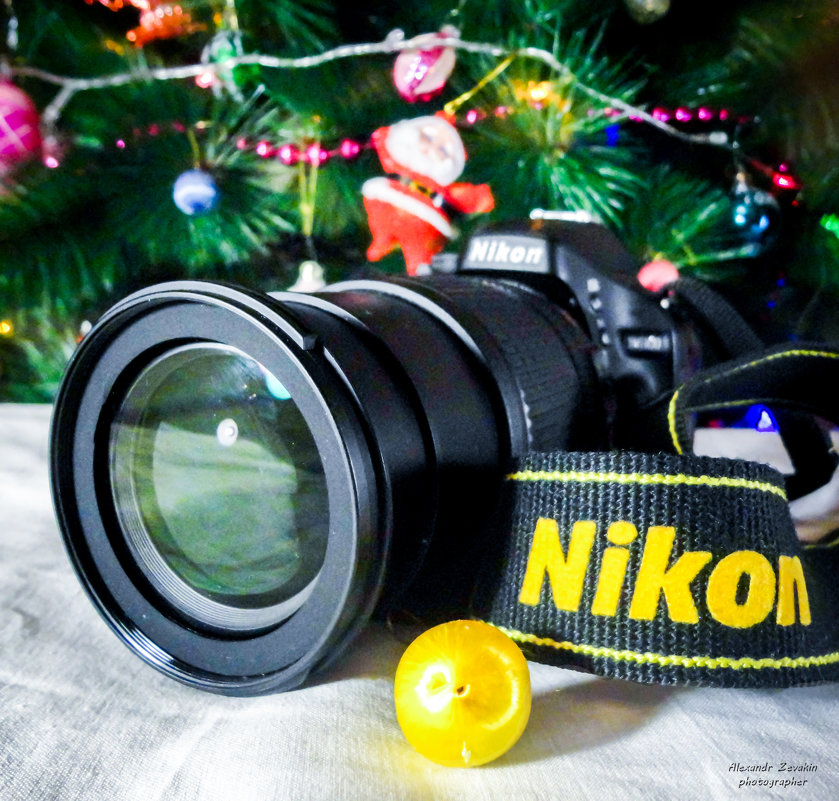i Love Nikon - Александр Зевакин