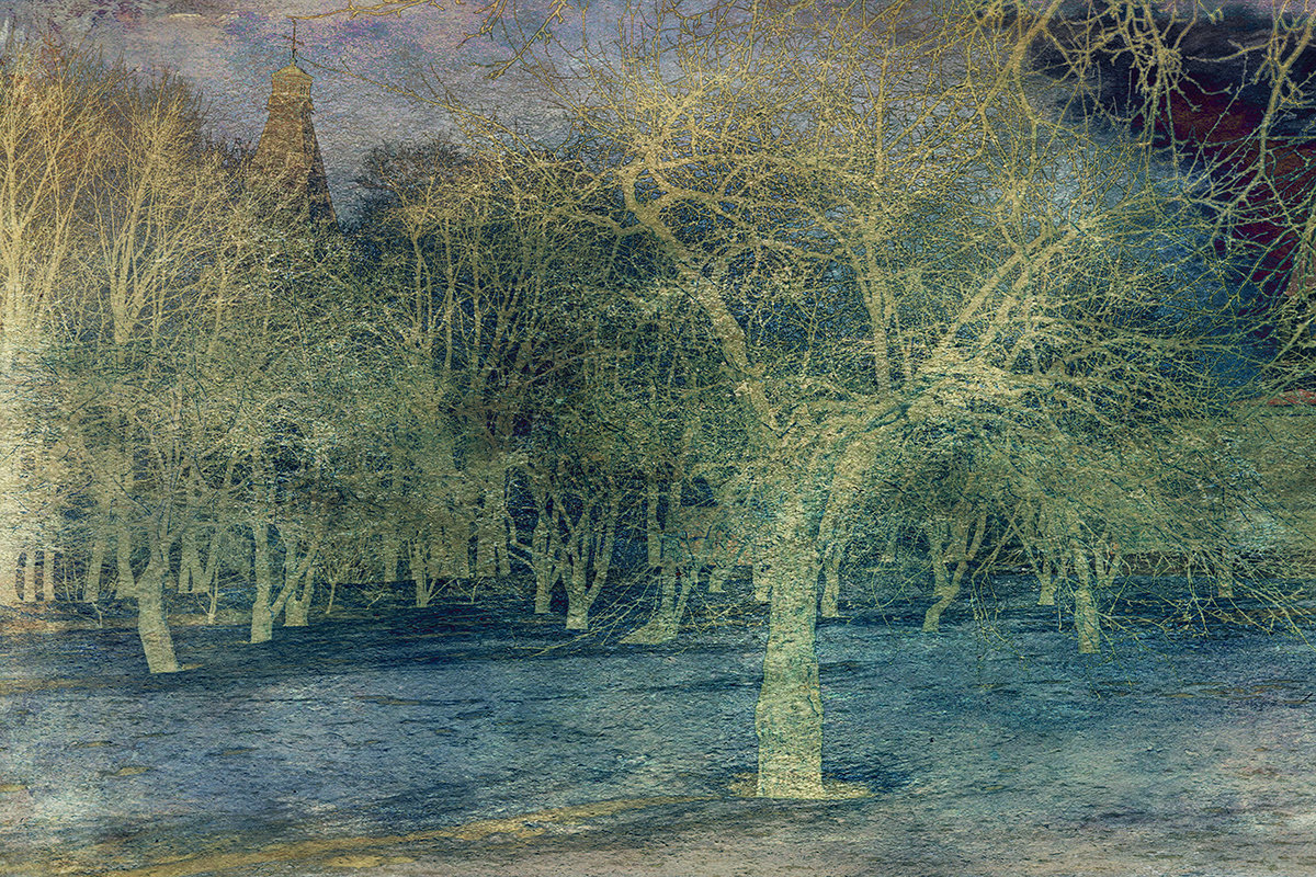 Синие крестики - тени деревьев; крестится снег, уходя в землю в марте - Ирина Данилова