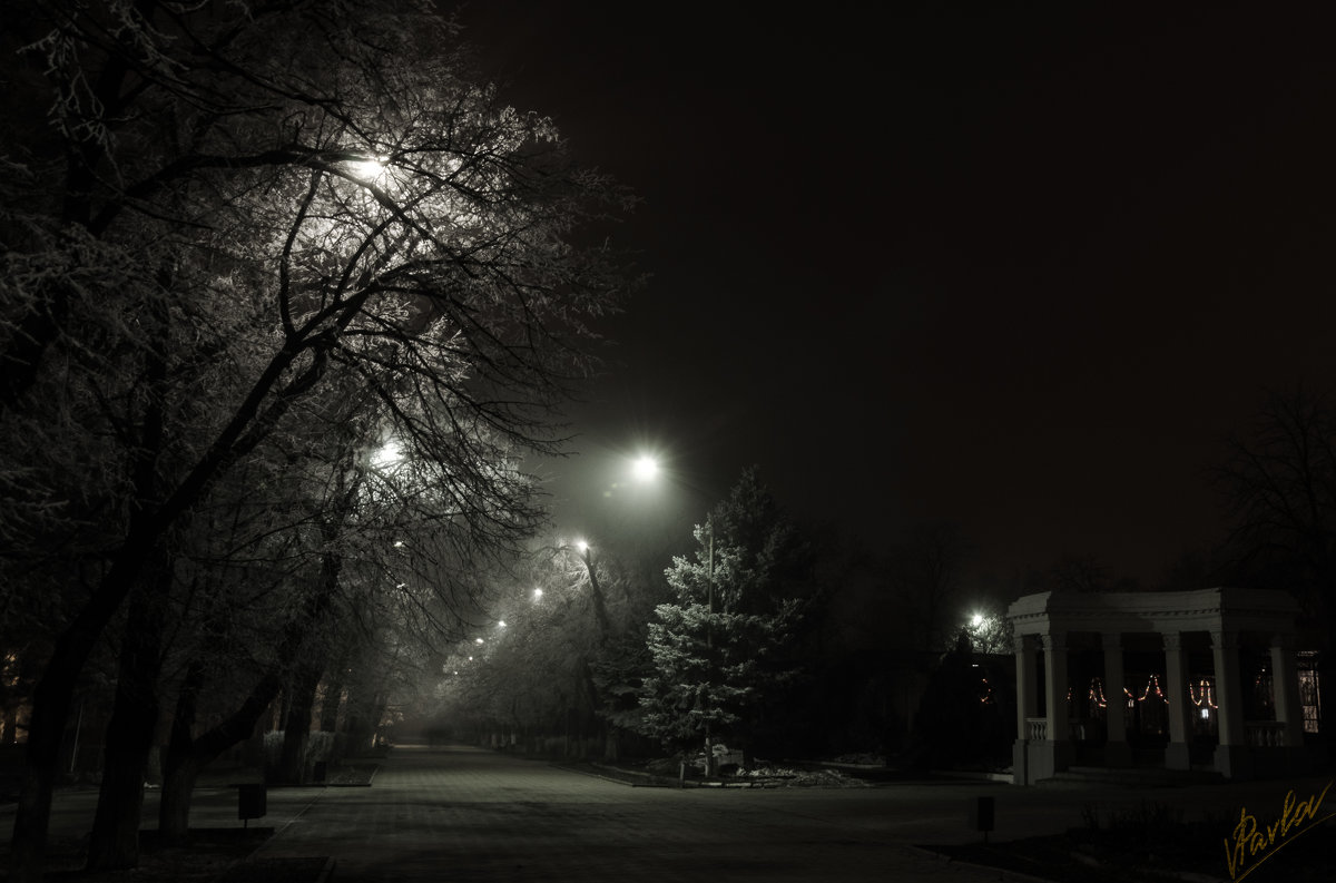 Туманный вечер - Виталий Павлов