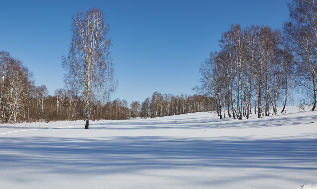 Зима в марте - Николай Мальцев