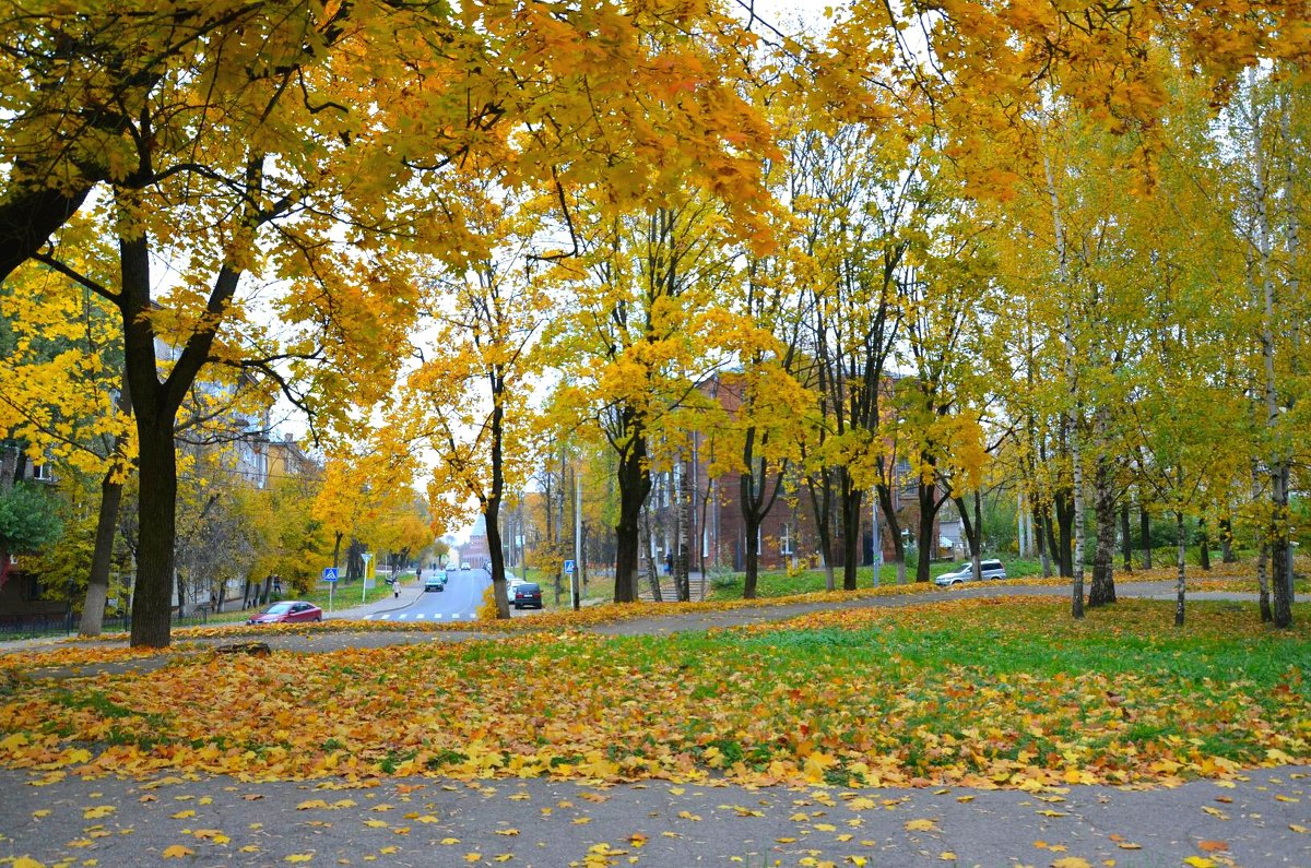 Осень Во Владимире Фото