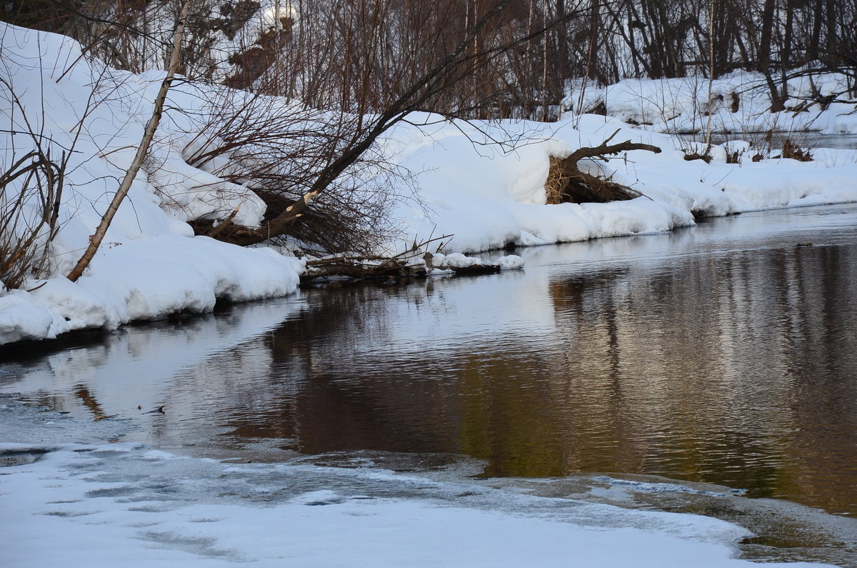 Весна - Елена ***