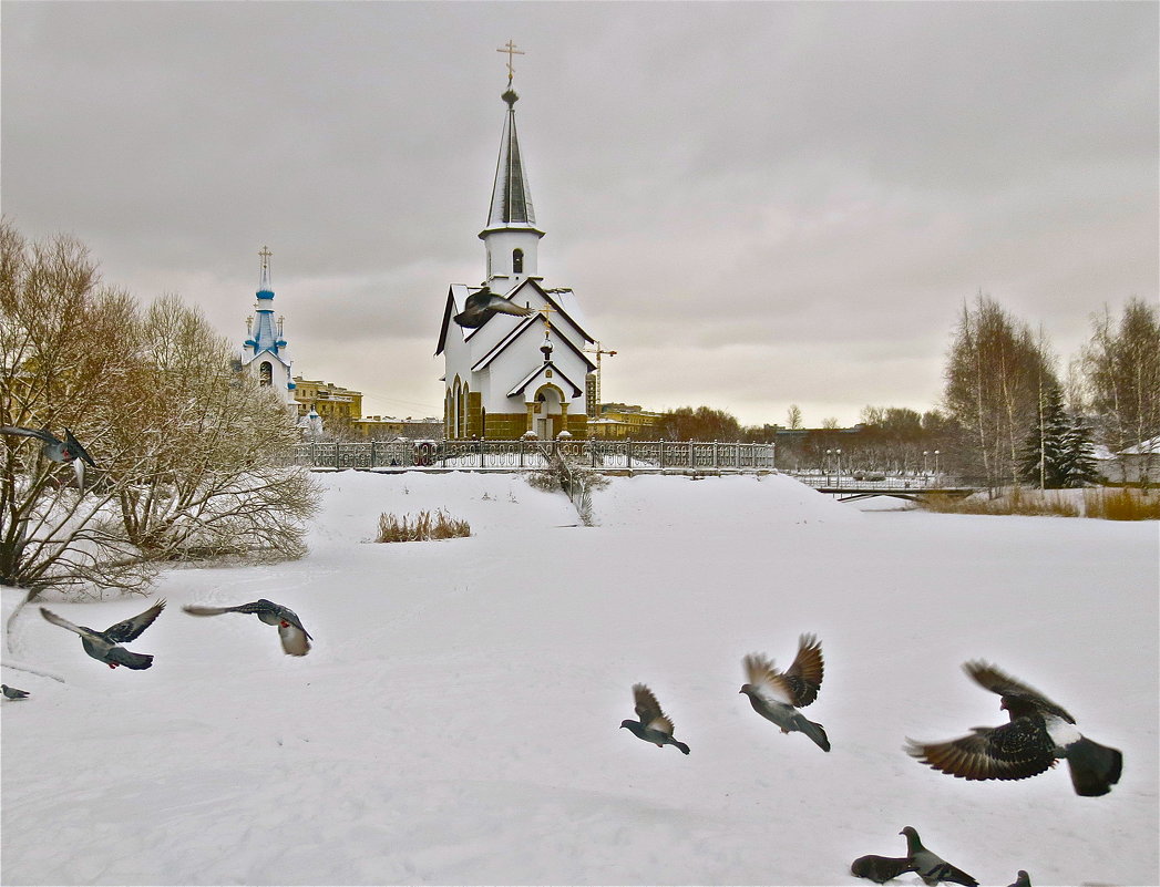 церковь и голуби - Елена 