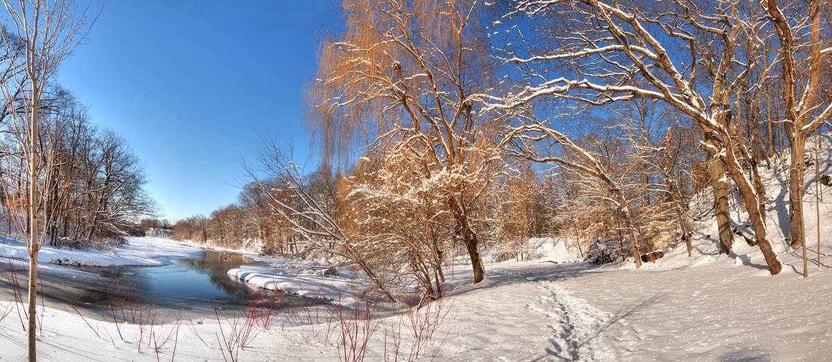 Willson&#39;s Woods Park, NYC - Vadim Raskin