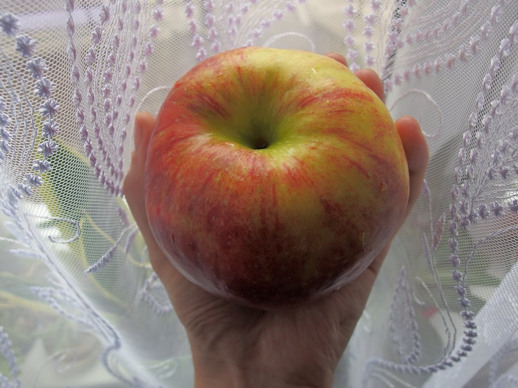 Большое яблоко - Андрей Мышко