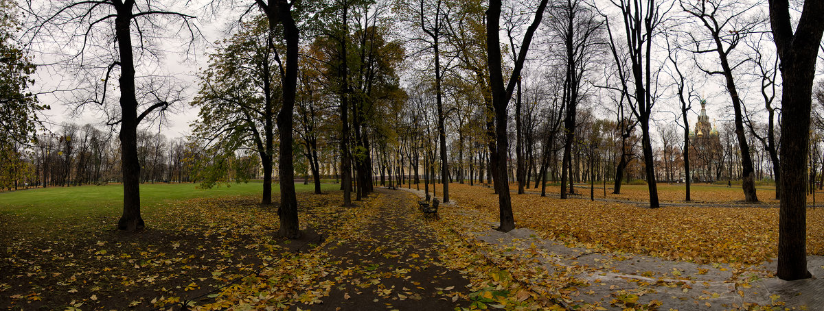 Санкт-Петербург - Сергей Политыкин