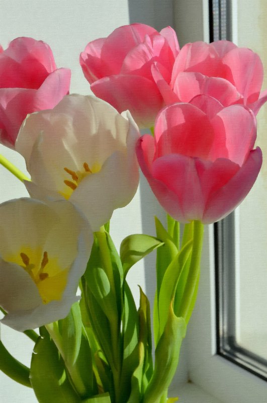 Тюльпаны из серии "Весна на подоконнике" - Евгения Бакулина 