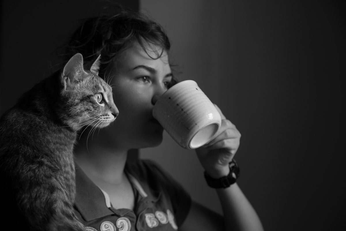 Девочка, кошка и какао - Лариса Макарова
