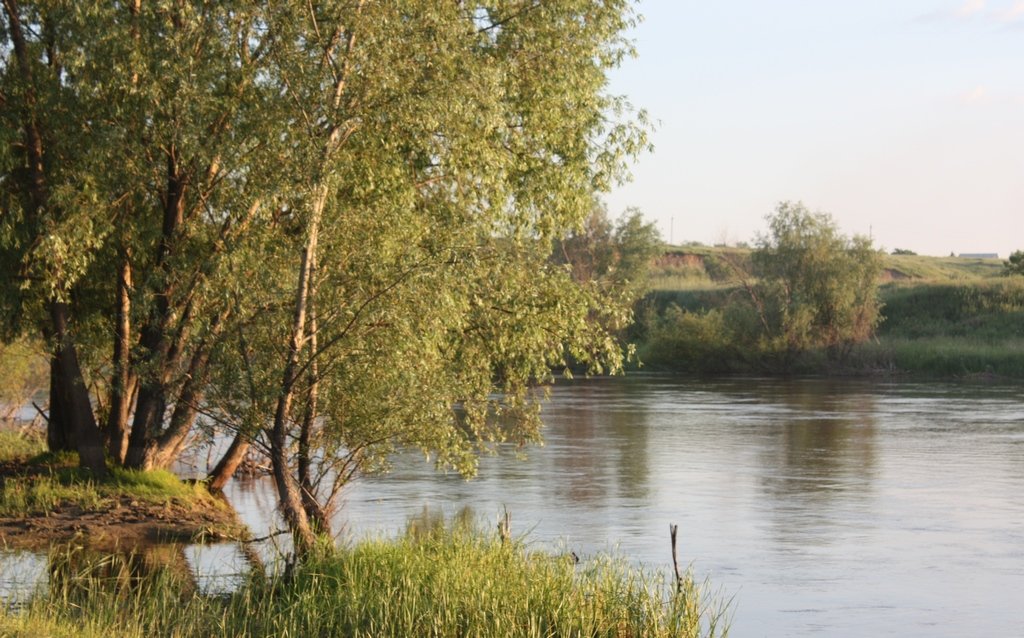 река Омь - сергеи шаманин