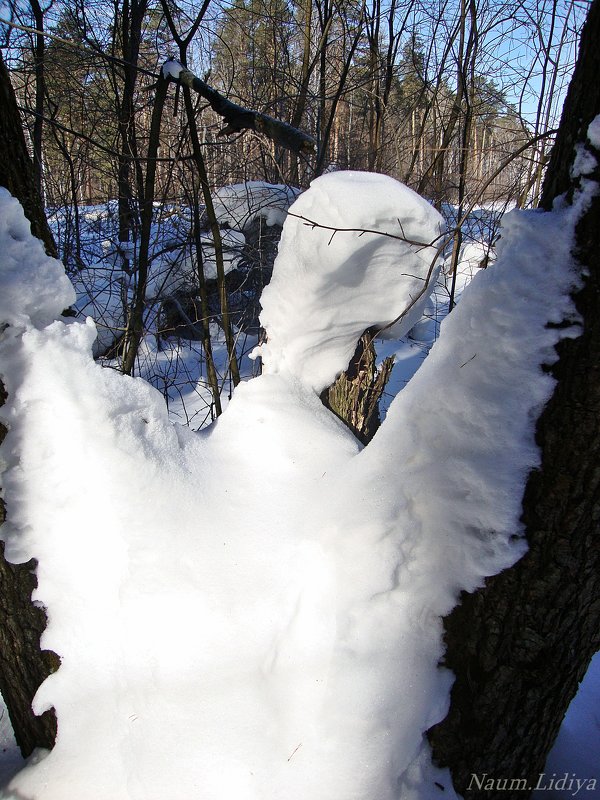 Снежный ангел - Лидия (naum.lidiya)