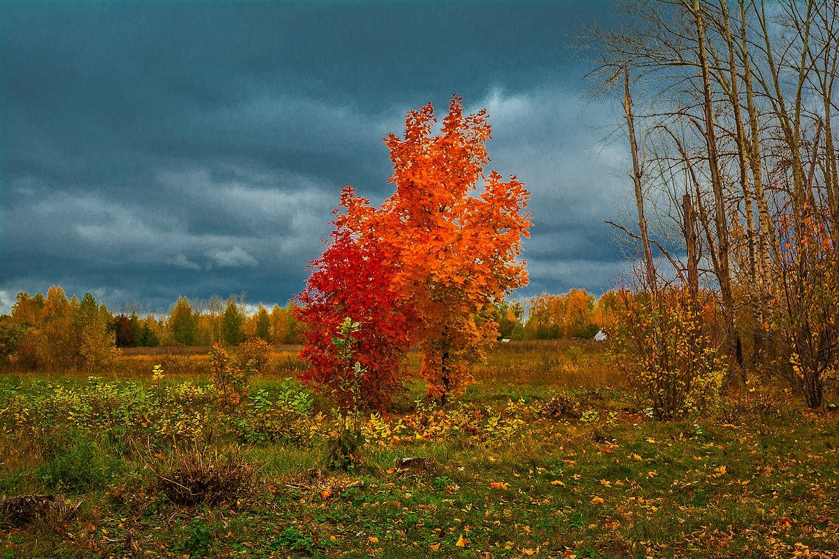 Осень - Александр Тулупов