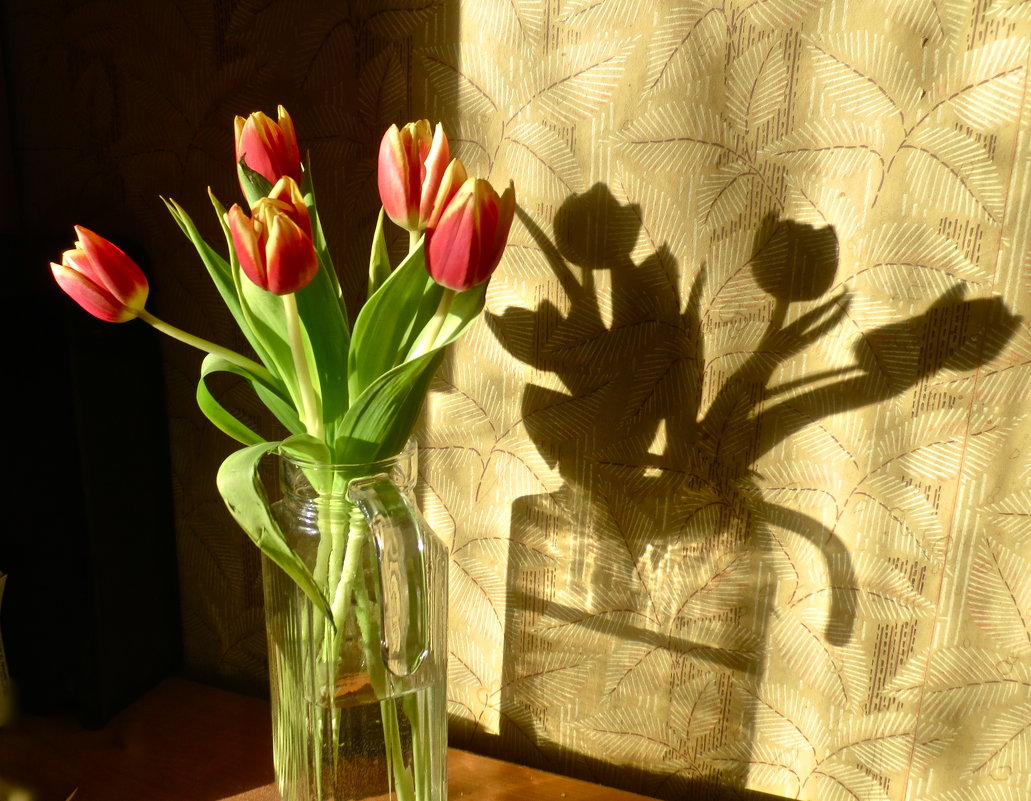 тюльпаны со своей тенью - Елена 