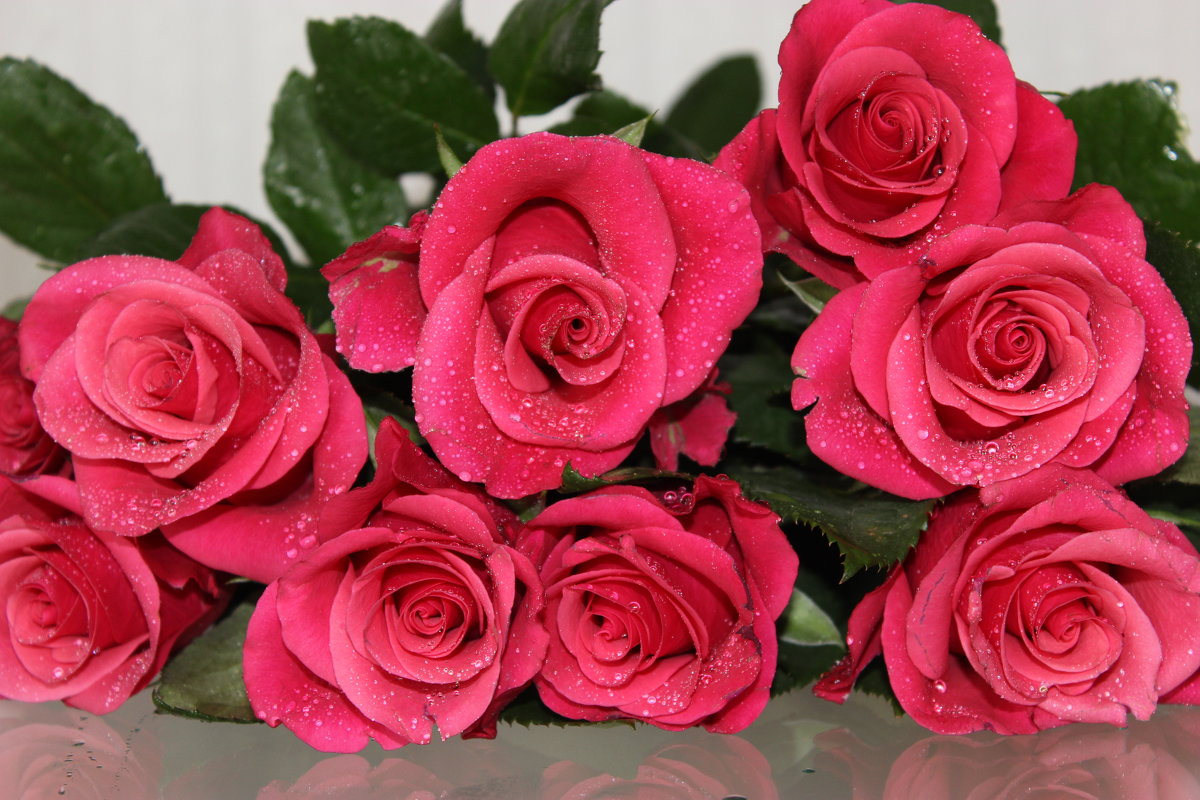 Букет из красных роз - - Mariya laimite