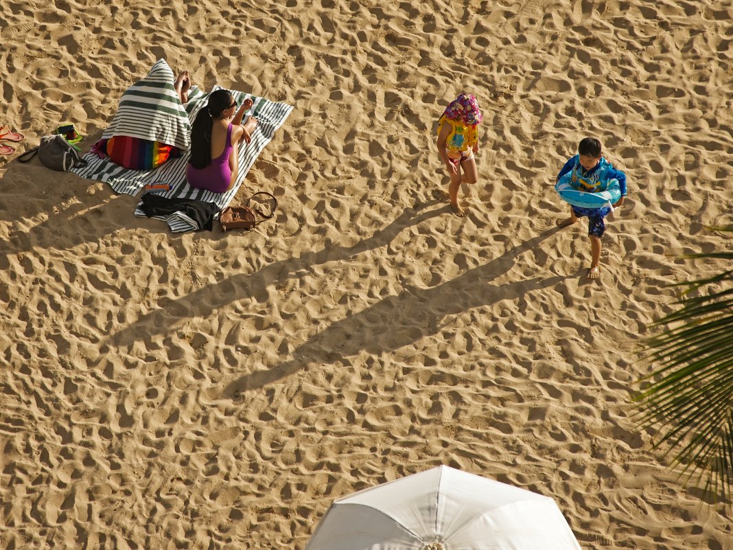 about shades on the beach - Sofia Rakitskaia