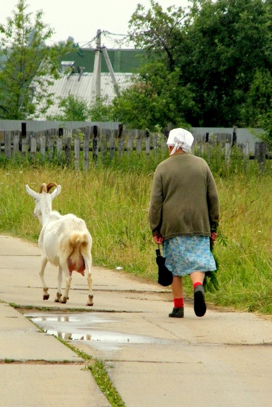 Дорога домой. - Елена 