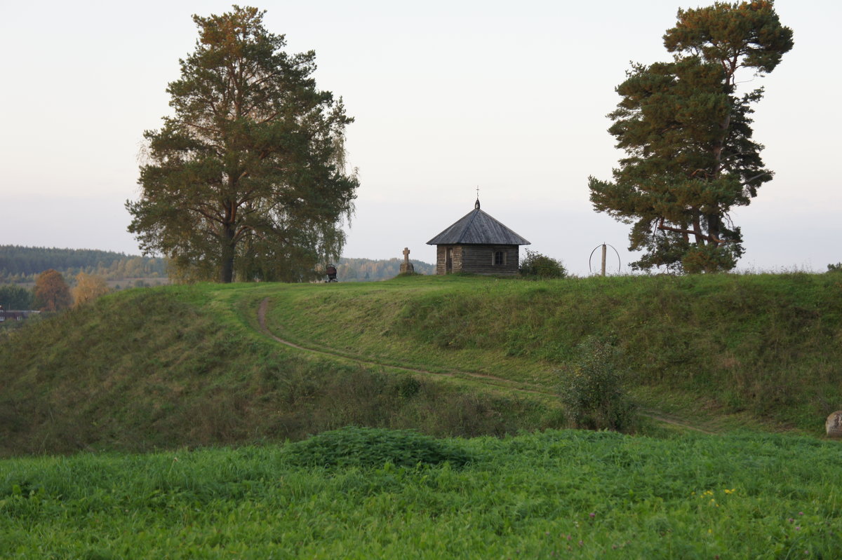 Городище Савкино - Елена Павлова (Смолова)